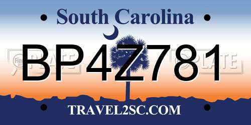 BP4Z781 South Carolina License Plate