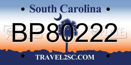 BP80222 South Carolina License Plate