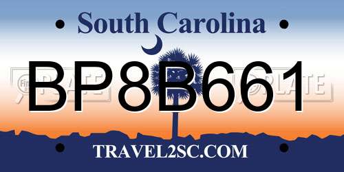 BP8B661 South Carolina License Plate