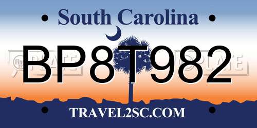 BP8T982 South Carolina License Plate