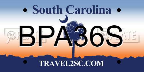 BPA36S South Carolina License Plate