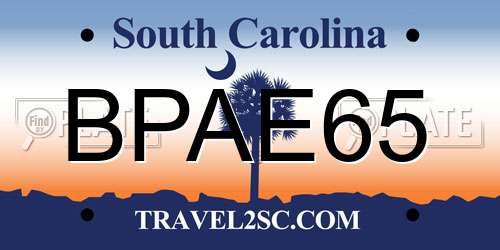 BPAE65 South Carolina License Plate