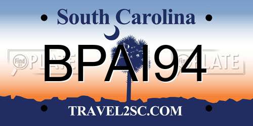 BPAI94 South Carolina License Plate