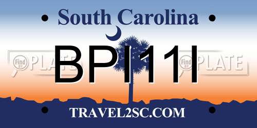 BPI11I South Carolina License Plate
