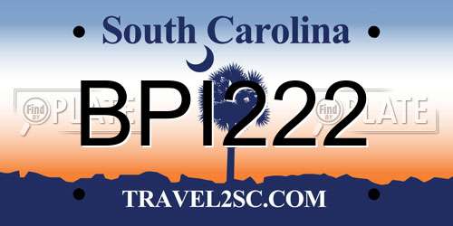 BPI222 South Carolina License Plate