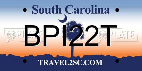 BPI22T South Carolina License Plate
