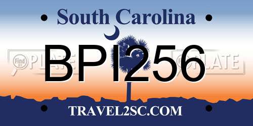 BPI256 South Carolina License Plate
