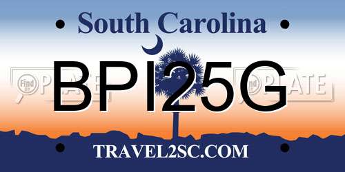 BPI25G South Carolina License Plate