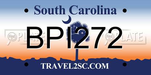 BPI272 South Carolina License Plate
