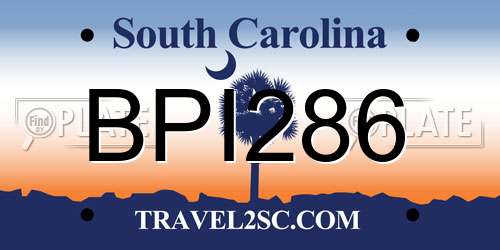 BPI286 South Carolina License Plate