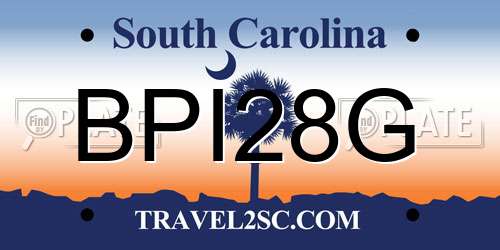 BPI28G South Carolina License Plate