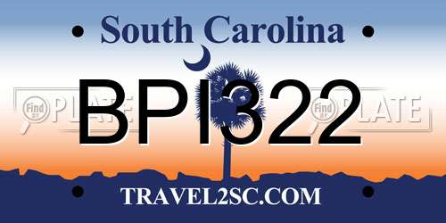 BPI322 South Carolina License Plate
