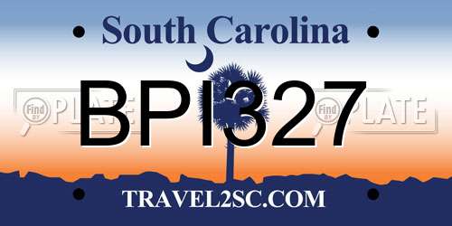 BPI327 South Carolina License Plate