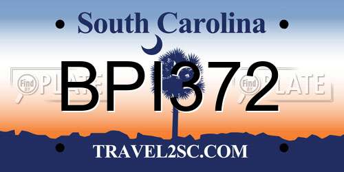 BPI372 South Carolina License Plate