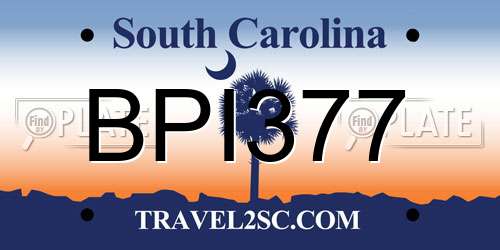 BPI377 South Carolina License Plate