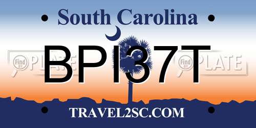 BPI37T South Carolina License Plate