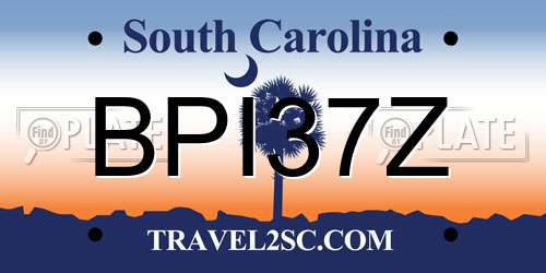 BPI37Z South Carolina License Plate