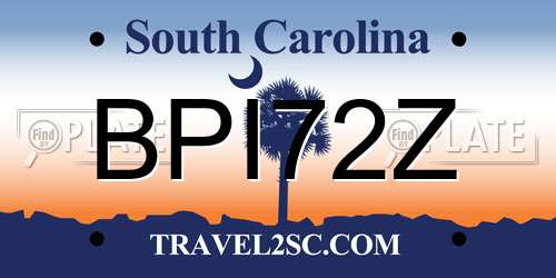 BPI72Z South Carolina License Plate