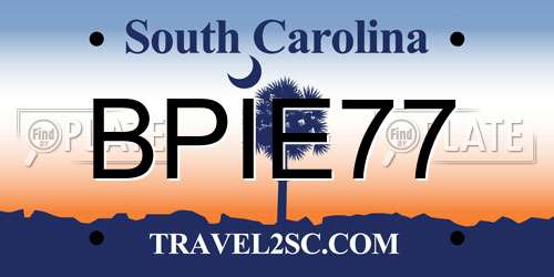 BPIE77 South Carolina License Plate