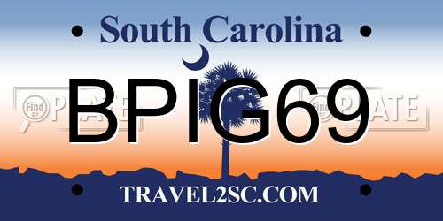 BPIG69 South Carolina License Plate
