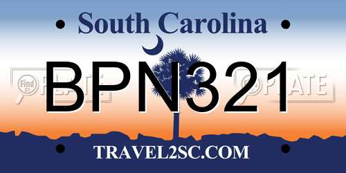 BPN321 South Carolina License Plate