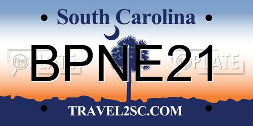 BPNE21 South Carolina License Plate
