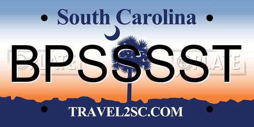 BPSSSST South Carolina License Plate