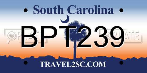 BPT239 South Carolina License Plate