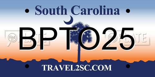BPTO25 South Carolina License Plate