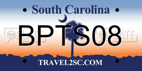 BPTS08 South Carolina License Plate