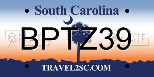 BPTZ39 South Carolina License Plate