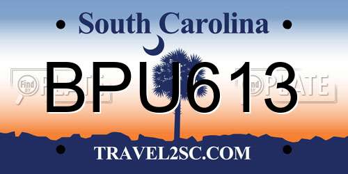 BPU613 South Carolina License Plate
