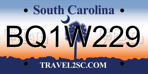 BQ1W229 South Carolina License Plate