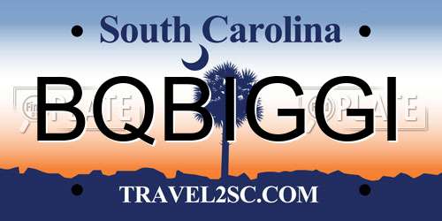 BQBIGGI South Carolina License Plate