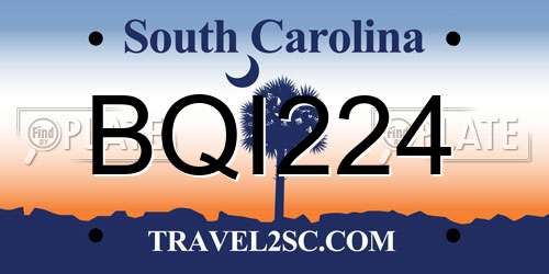 BQI224 South Carolina License Plate