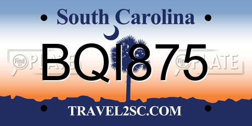 BQI875 South Carolina License Plate