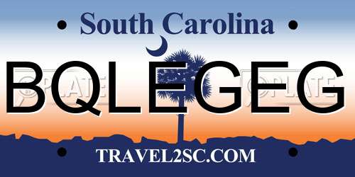 BQLEGEG South Carolina License Plate
