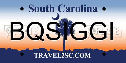 BQSIGGI South Carolina License Plate