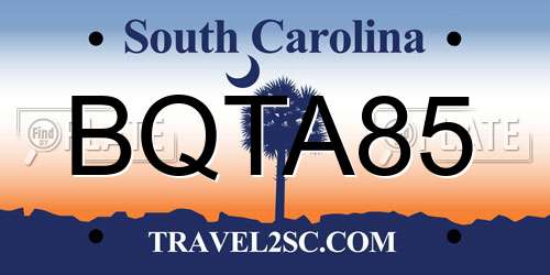 BQTA85 South Carolina License Plate