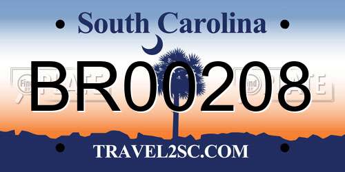 BR00208 South Carolina License Plate