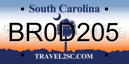 BR0D205 South Carolina License Plate