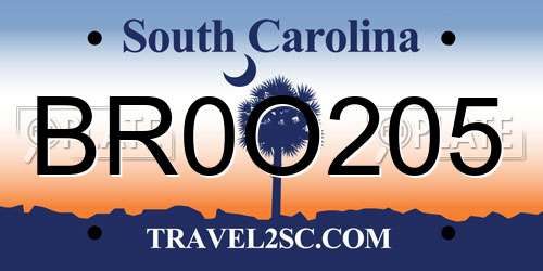 BR0O205 South Carolina License Plate