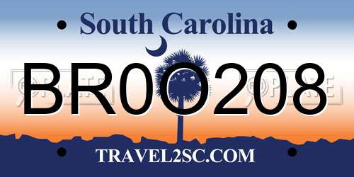BR0O208 South Carolina License Plate