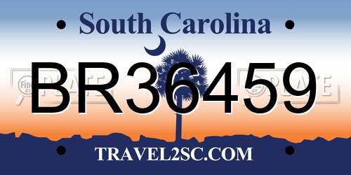 BR36459 South Carolina License Plate