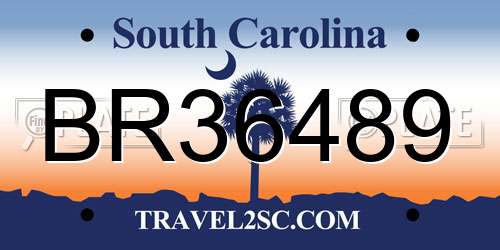 BR36489 South Carolina License Plate