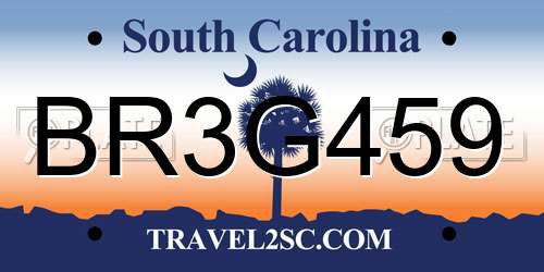 BR3G459 South Carolina License Plate