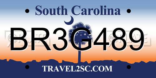 BR3G489 South Carolina License Plate