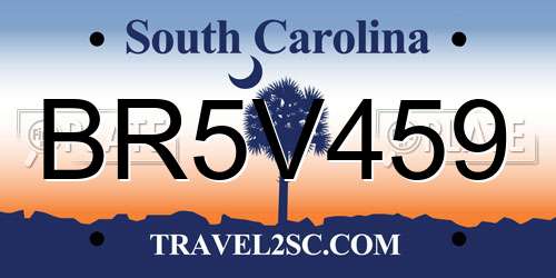 BR5V459 South Carolina License Plate