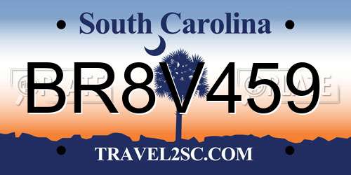 BR8V459 South Carolina License Plate