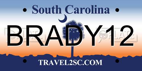 BRADY12 South Carolina License Plate